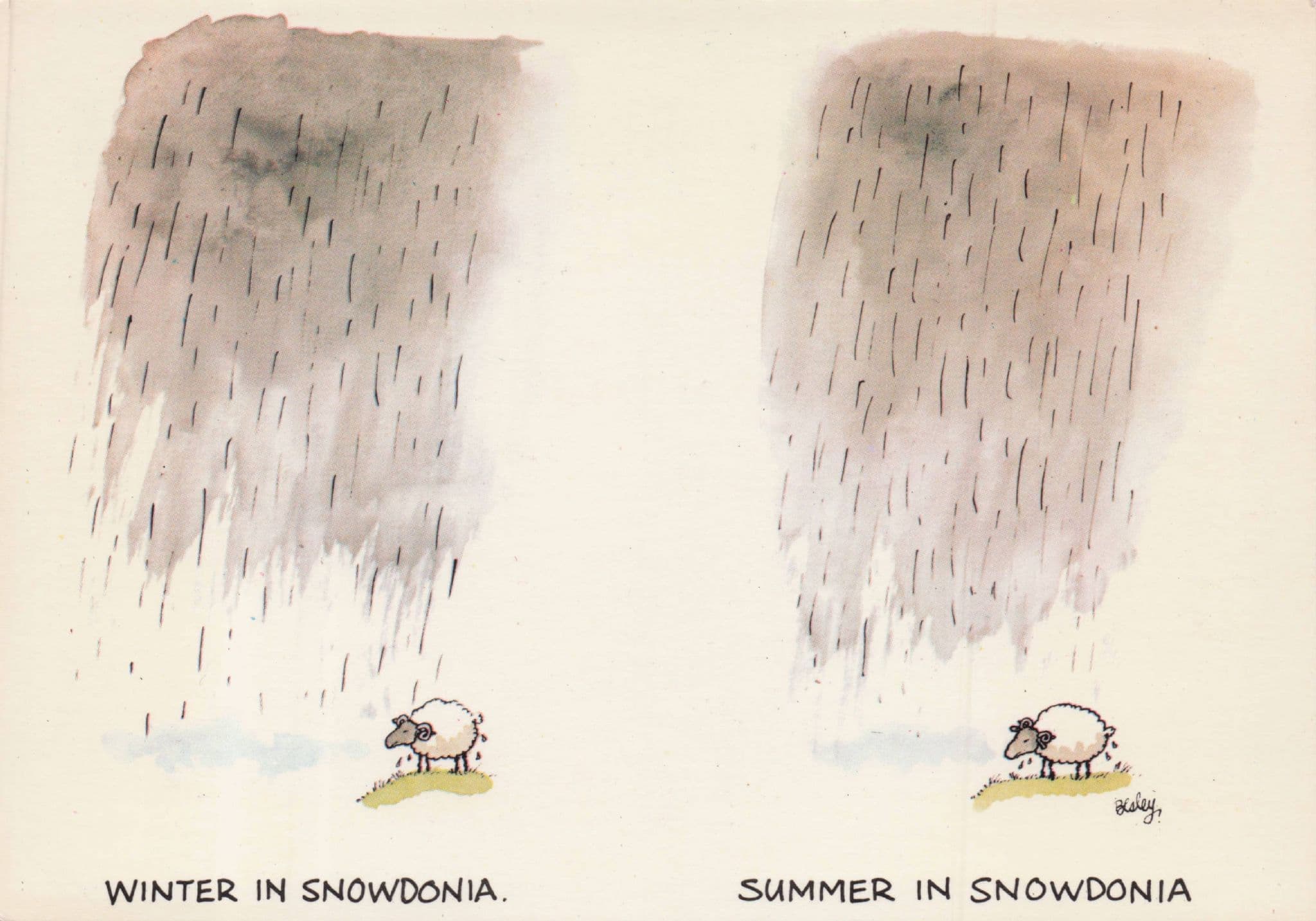 Welsh Sheep Snowdonia Summer Winter Weather Wales Comic Postcard