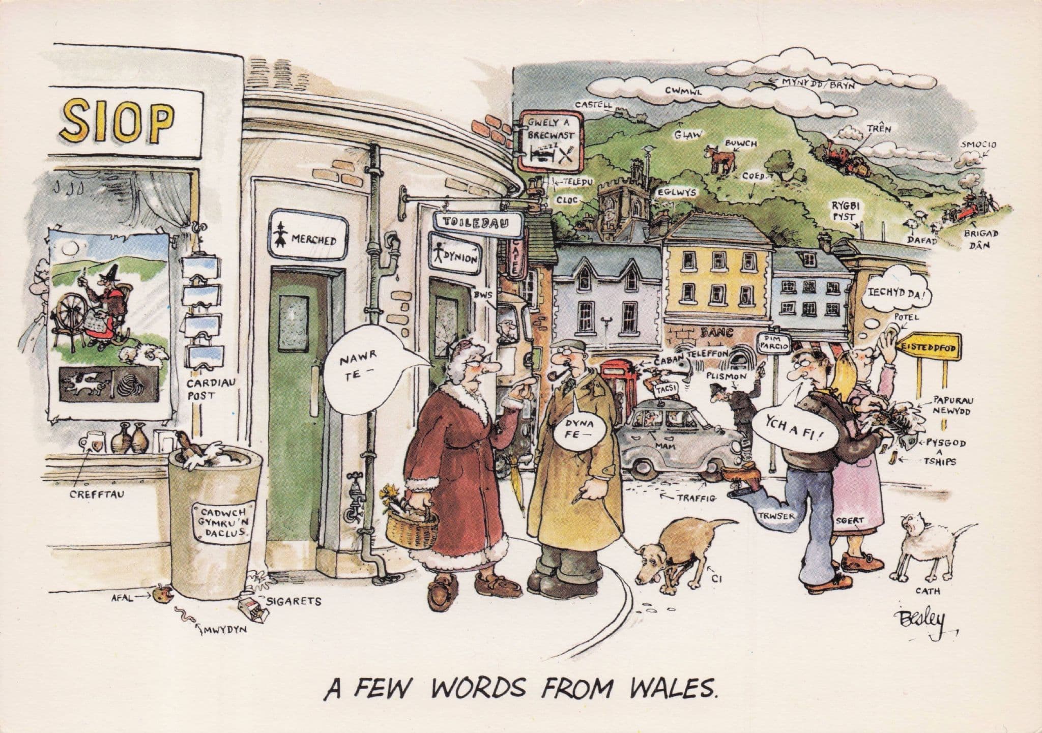 Welsh Tourist Shop Language Public Toilets By Inn Wales Comic Postcard
