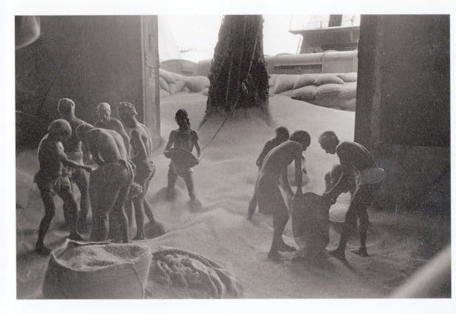 Werner Bischof India Sand Labour 1952 Photo Postcard