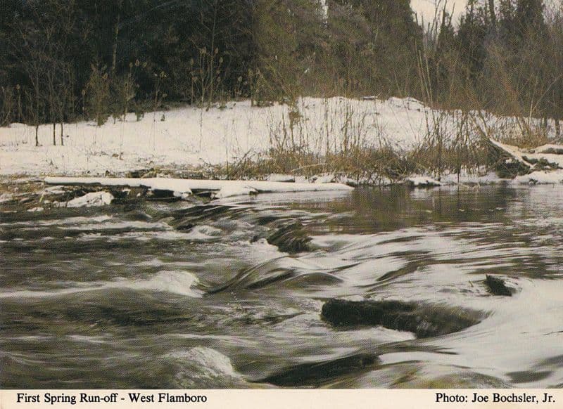 West Flamboro First Spring Run Off Canada Specator Newspaper Postcard