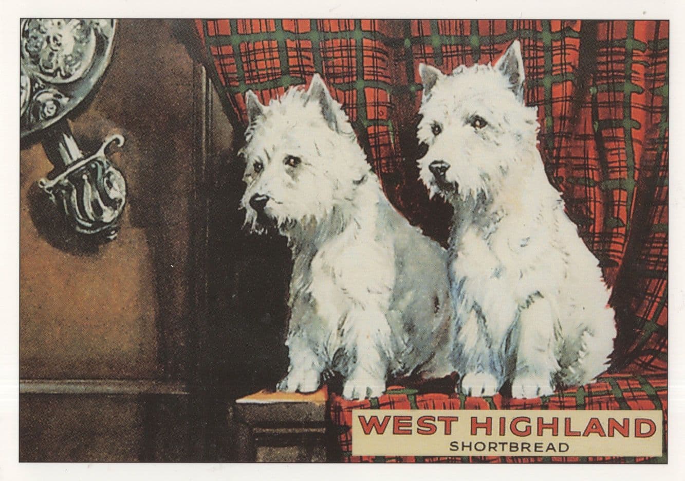 West Highland Shortbread Scotty Dog Biscuits Advertising Postcard
