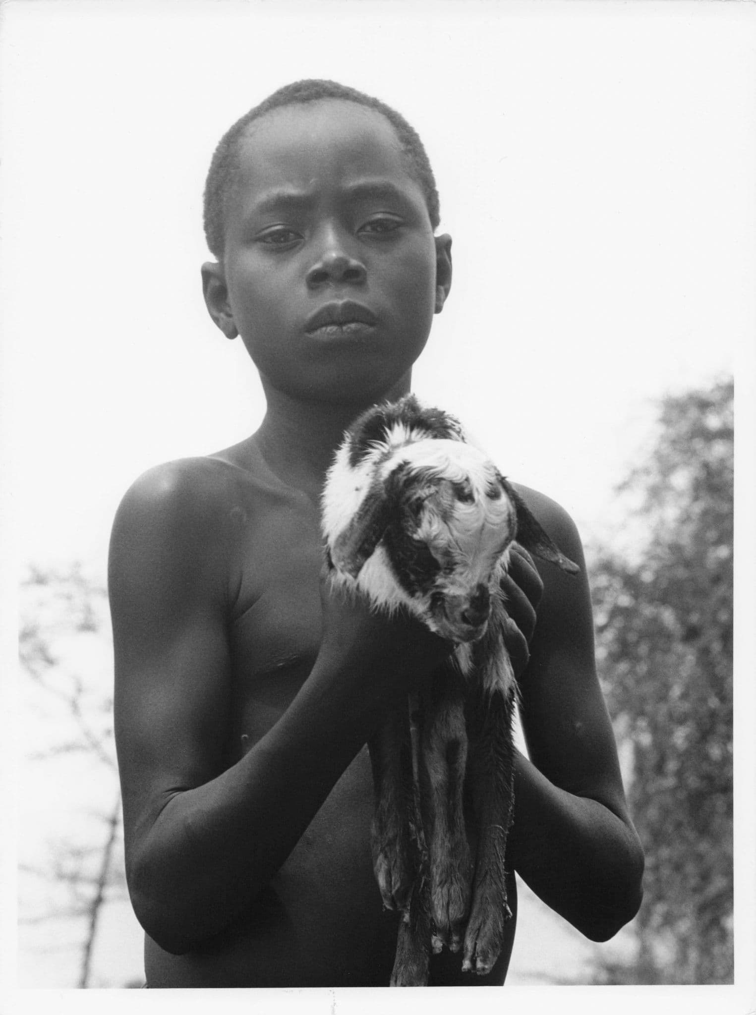 West Kenya Luo Boy Nolotic Family Baby Lamb Of God 8x6 Africa Press Photo
