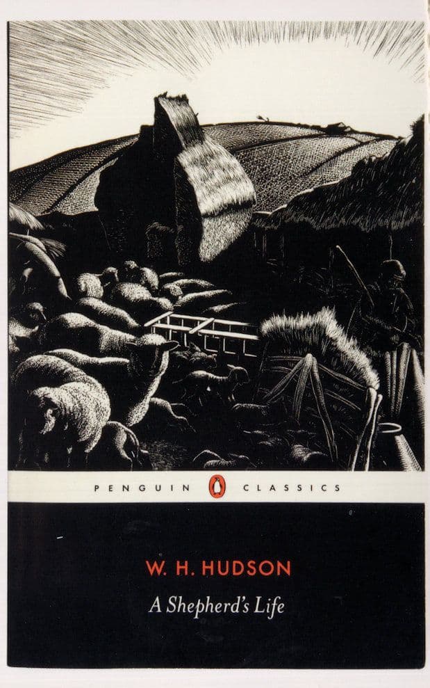 WH Hudson A Shepherds Life 1933 Book Postcard