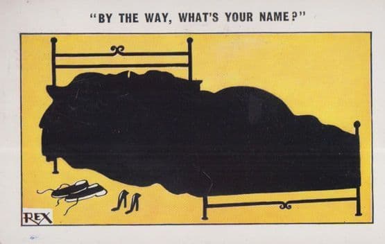 Whats Your Name Making Lover Before Finding Out Silhouette Comic Humour Postcard