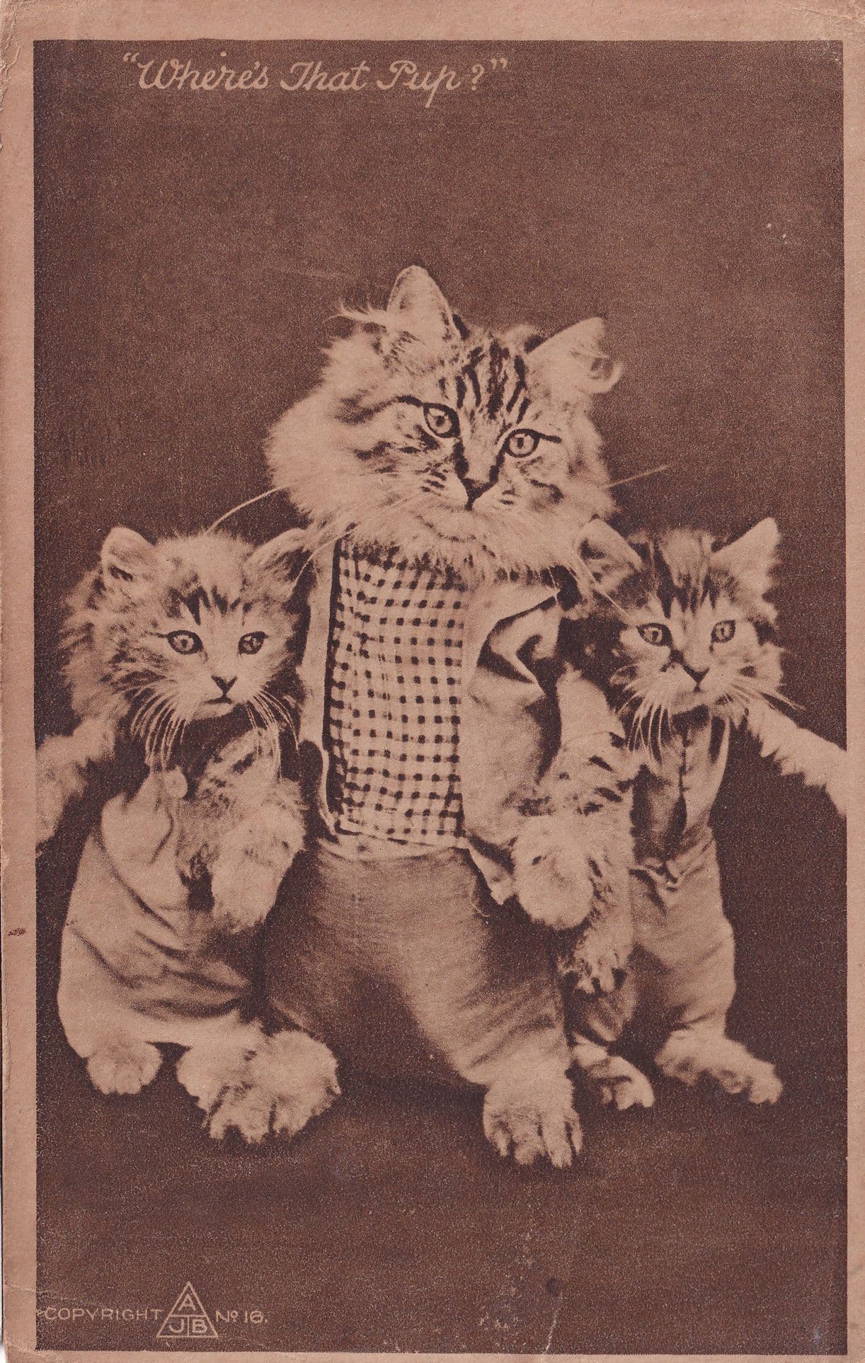 Where's That Pup Anthropomorphic Kitten Cats Old Postcard