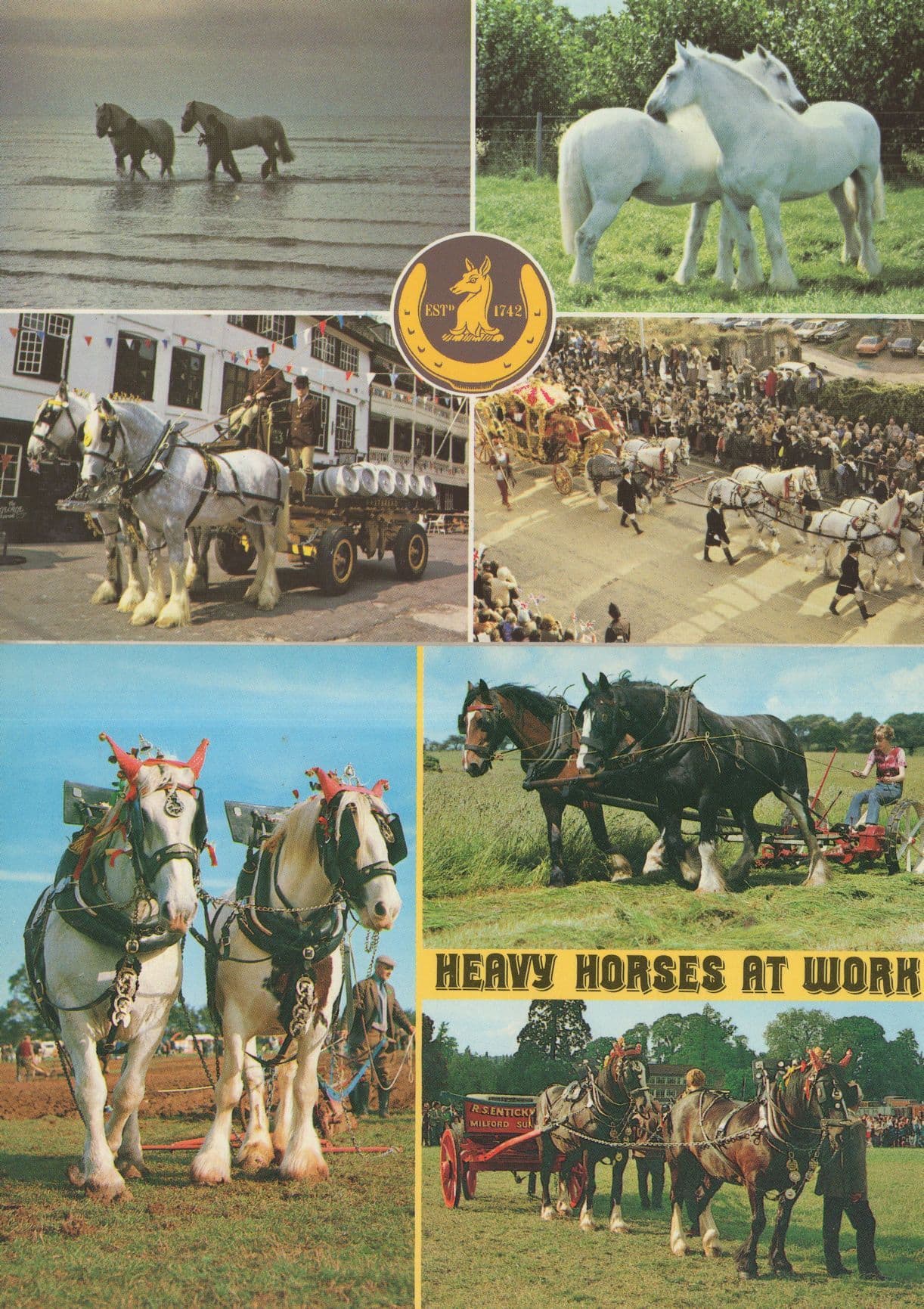 Whitbread Shires London Pub Hop Farm Kent 2x Postcard