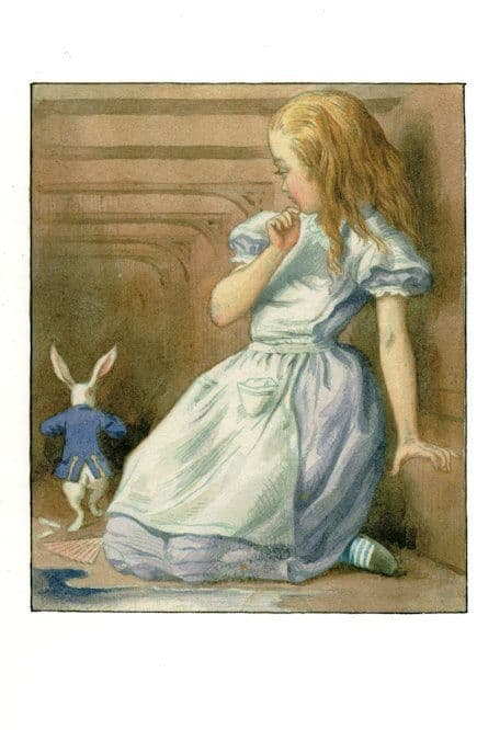 White Rabbit Gloves Alice In Wonderland 1911 Book Postcard