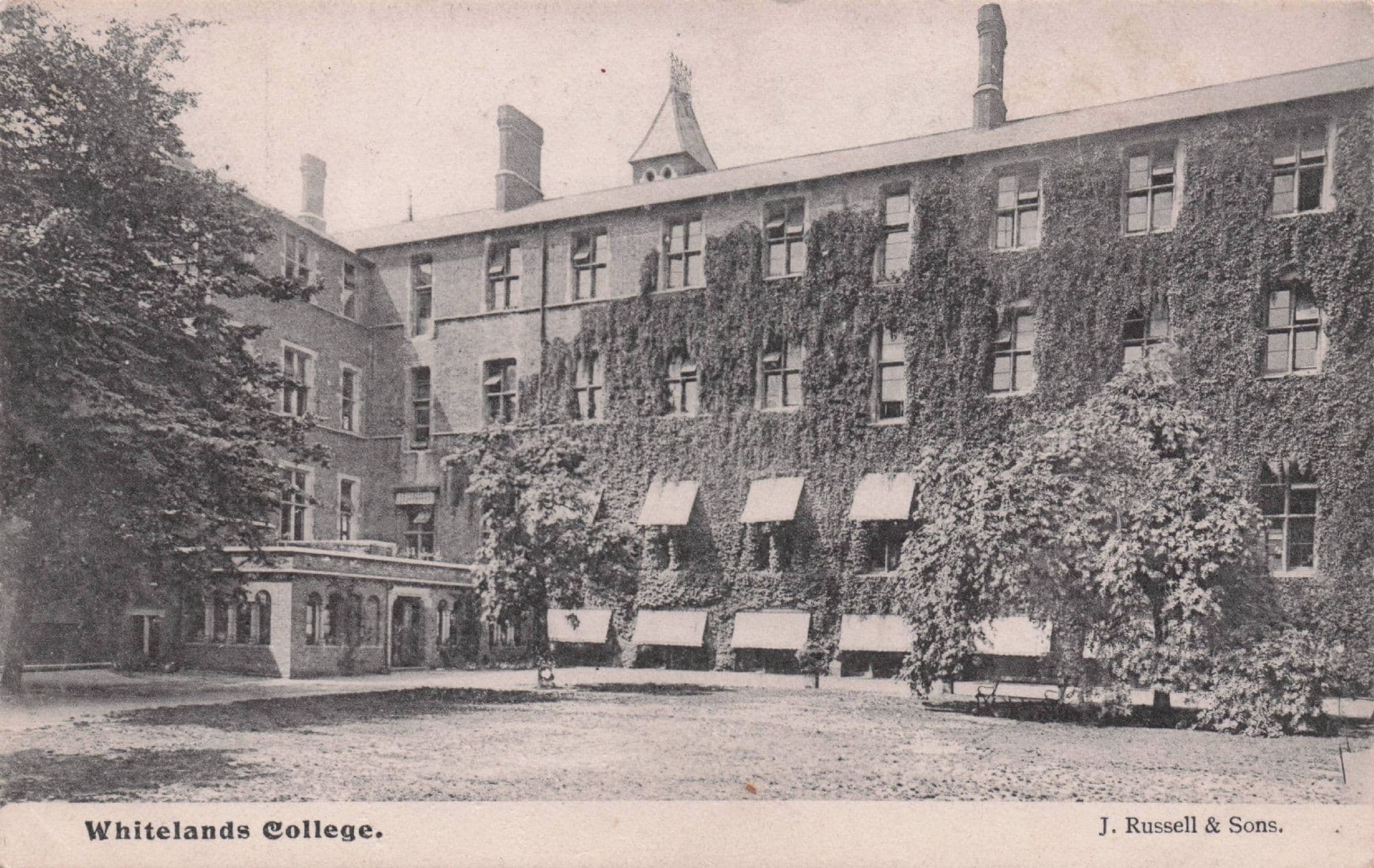 Whitelands College London Antique J Russell & Son Postcard