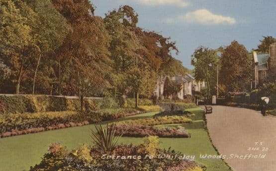 Whiteley Woods Entrance Sheffield Man Crouching at Flowers Yorkshire Postcard