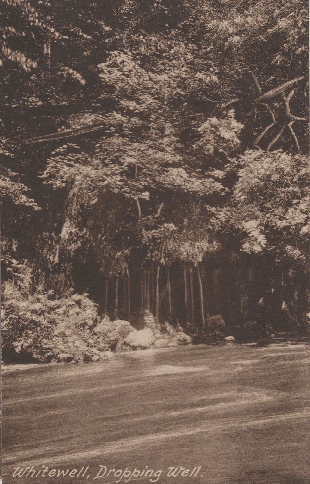 Whitewell Dropping Well Lancashire Old Postcard