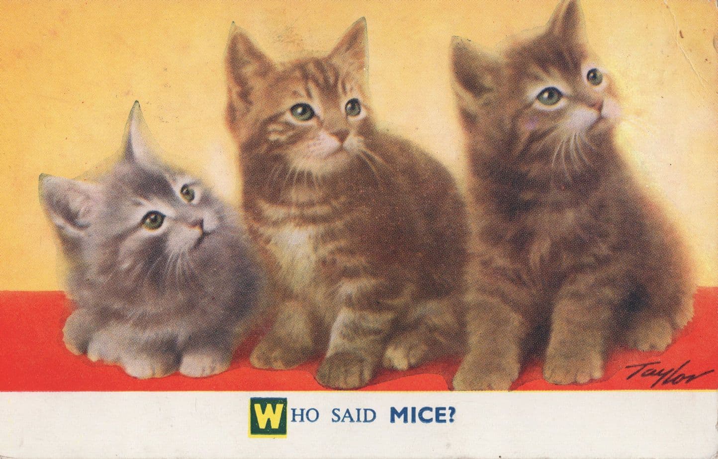 Who Said Mice Bamforth Comic Cat Vintage Cats Postcard
