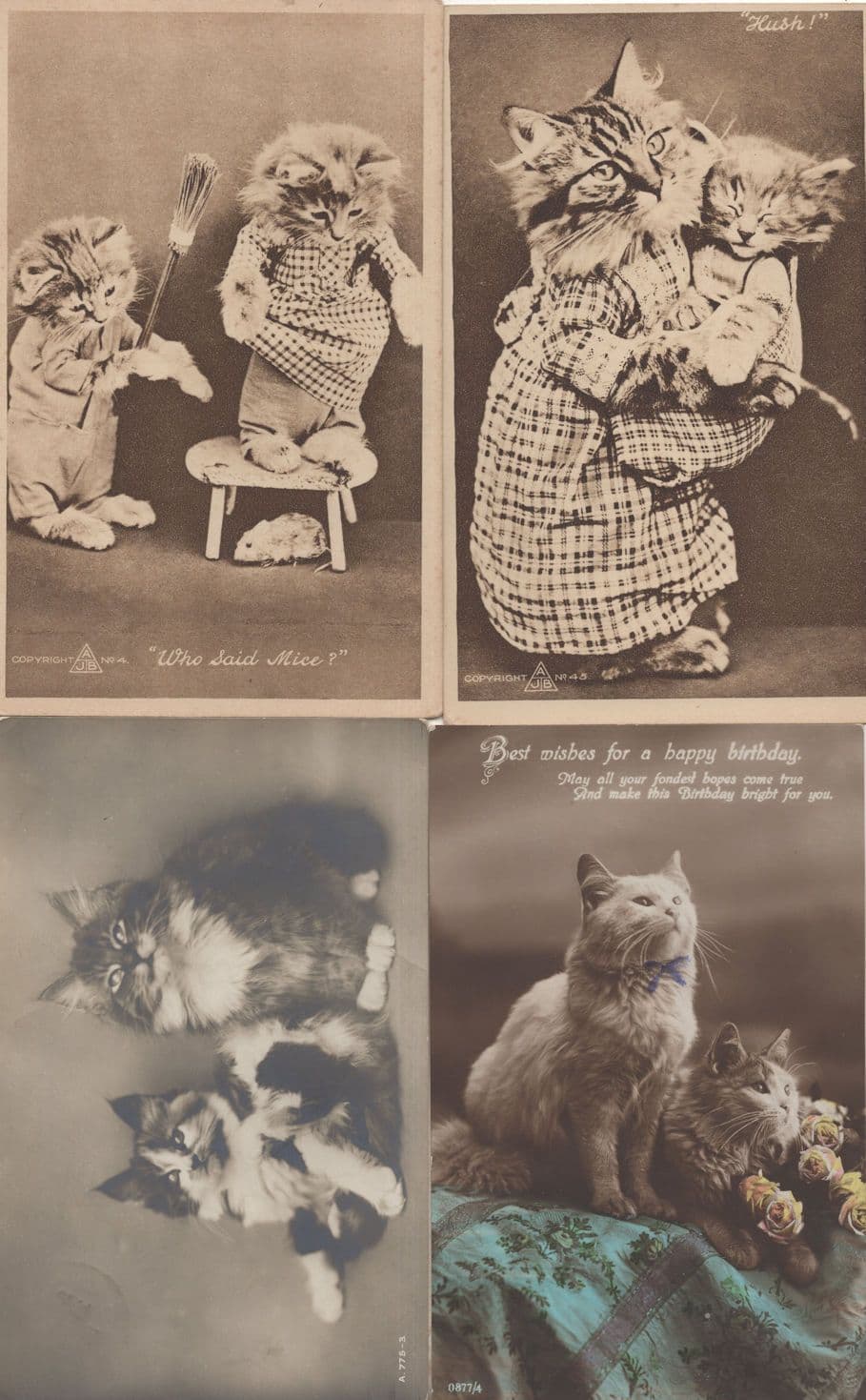 Who Said Mice Hush 4x Cats As Humans Nursing Kitten Postcard s