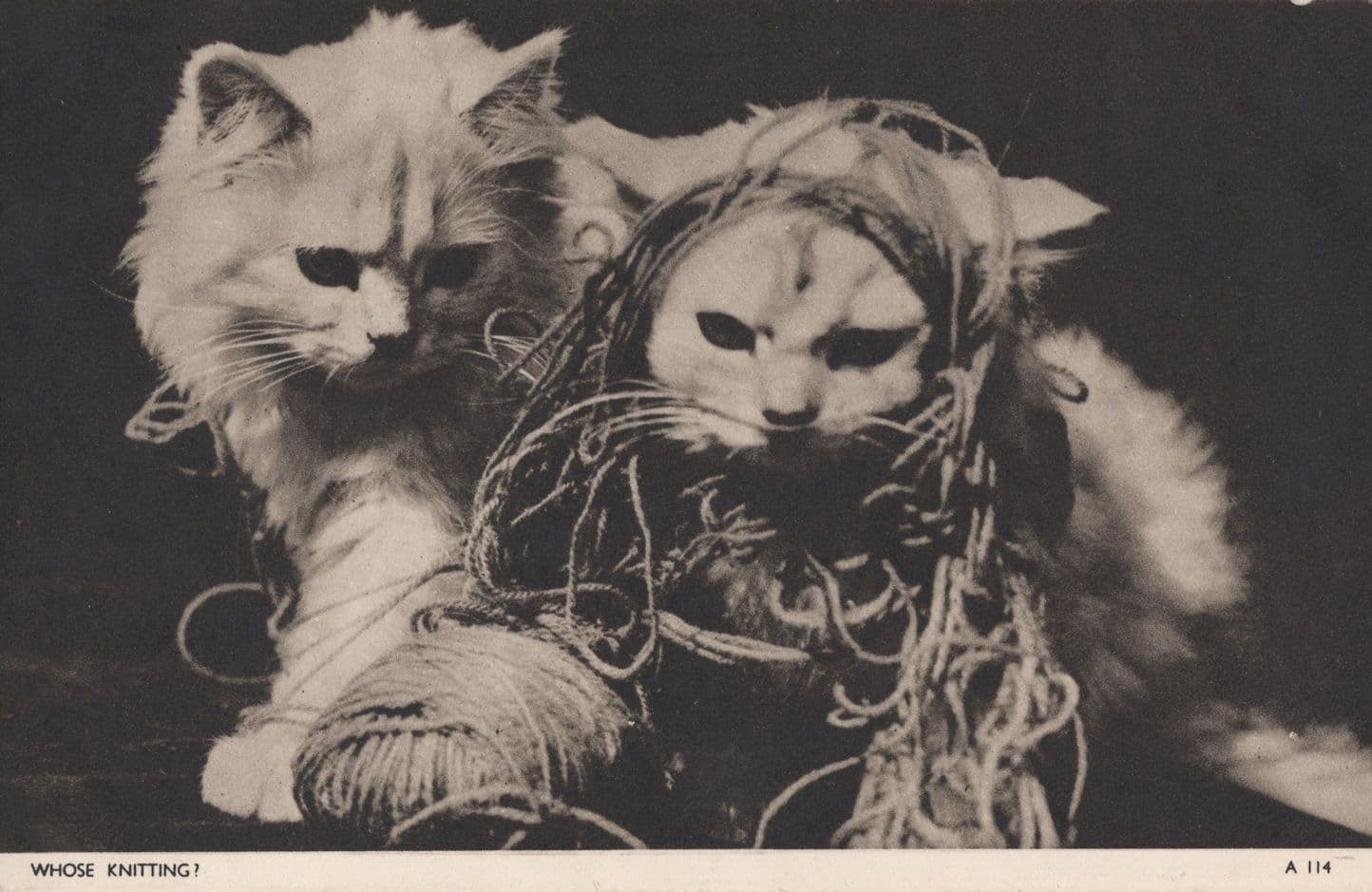 Whose Knitting Jarrold Sewing Balls Of Wool Cat Chrome Series Postcard