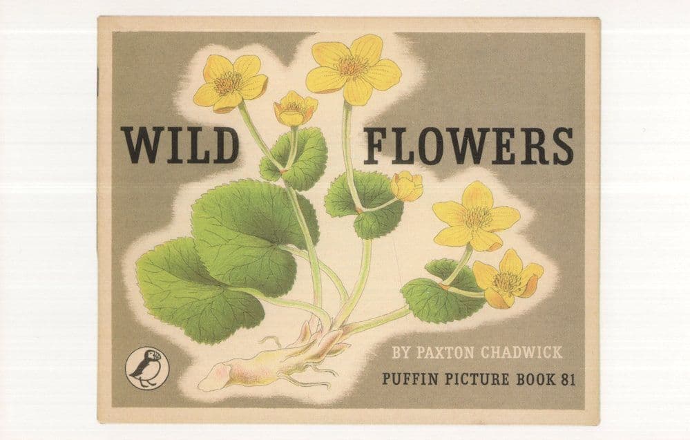 Wild Flowers Paxton Chadwick Puffin Book Postcard
