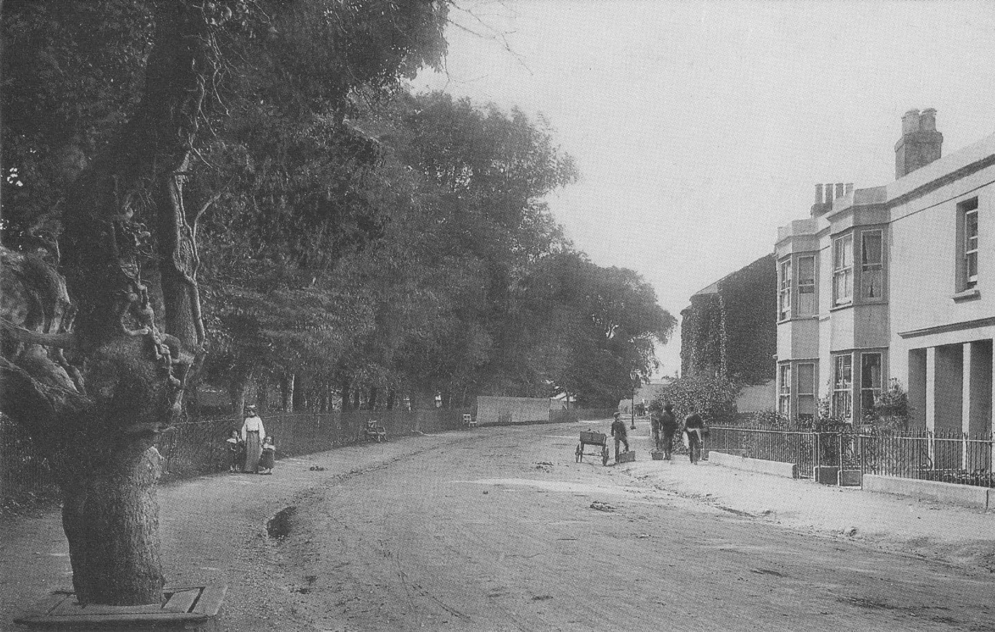 William Fletcher Landscapers Old London Road Bognor Sussex Postcard