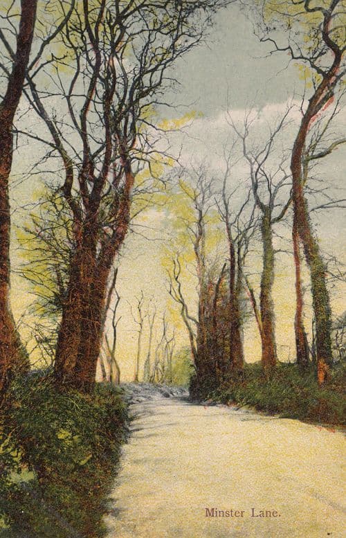 Winchester Minster Lane Barrow In Furness Antique Old Postcard
