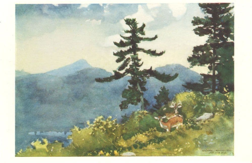 Winslow Homer North Woods Club Adirondacks Victorian Painting Postcard