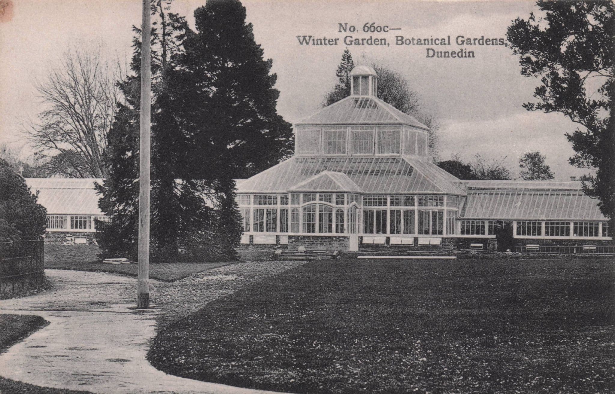 Winter Gardens Botanical Dunedin New Zealand Old Postcard