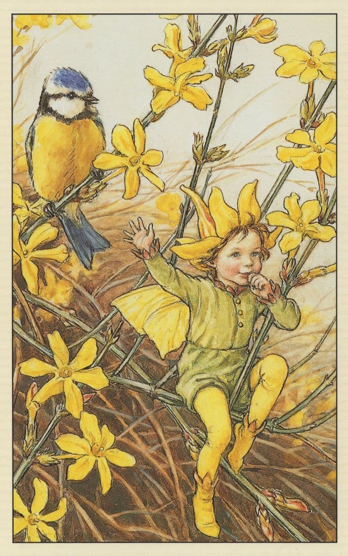 Winter Jasmine Flower Fairy WW2 Book Illustration Stunning Postcard