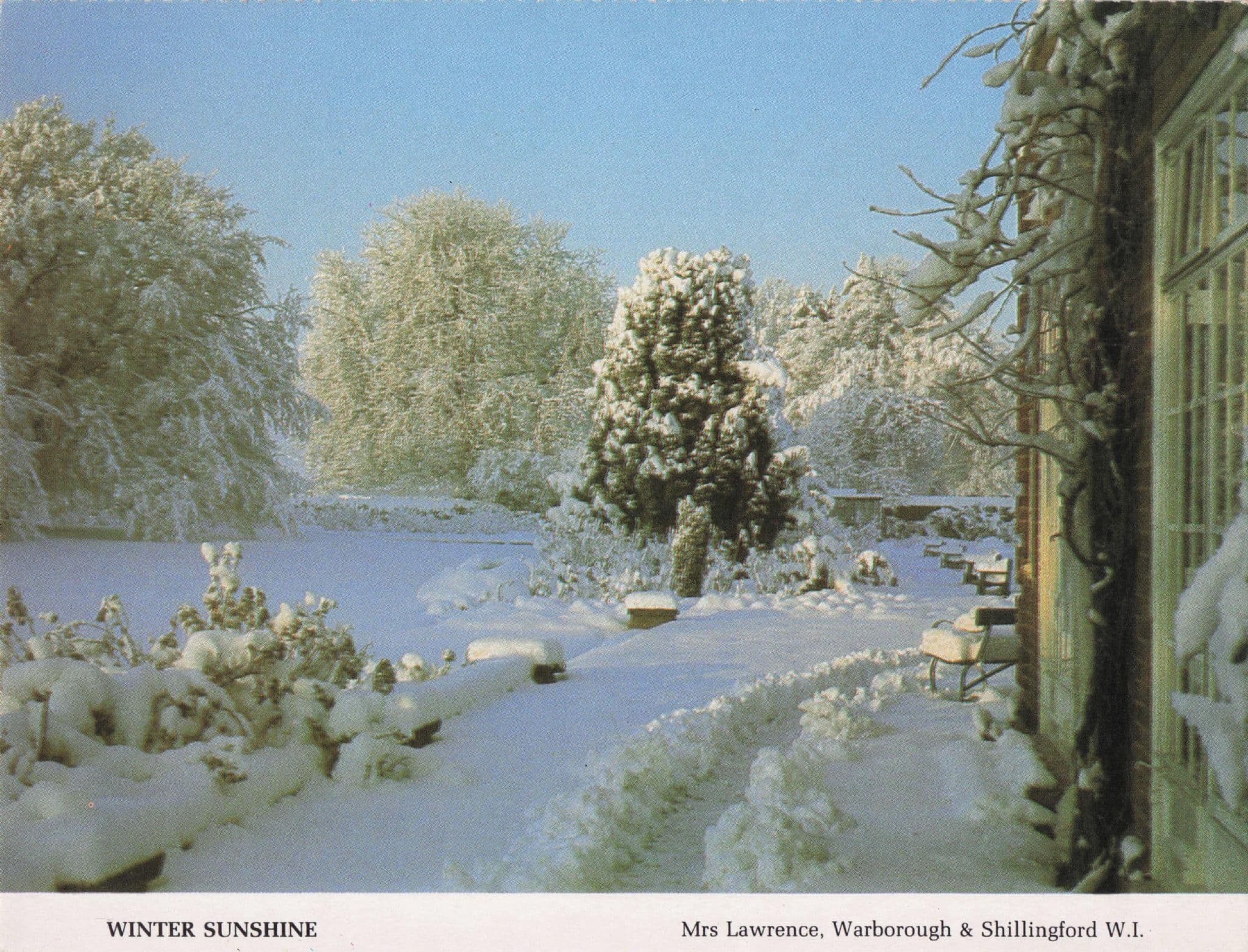 Winter Sunshine Snow Warborough Shillingford Oxford Postcard
