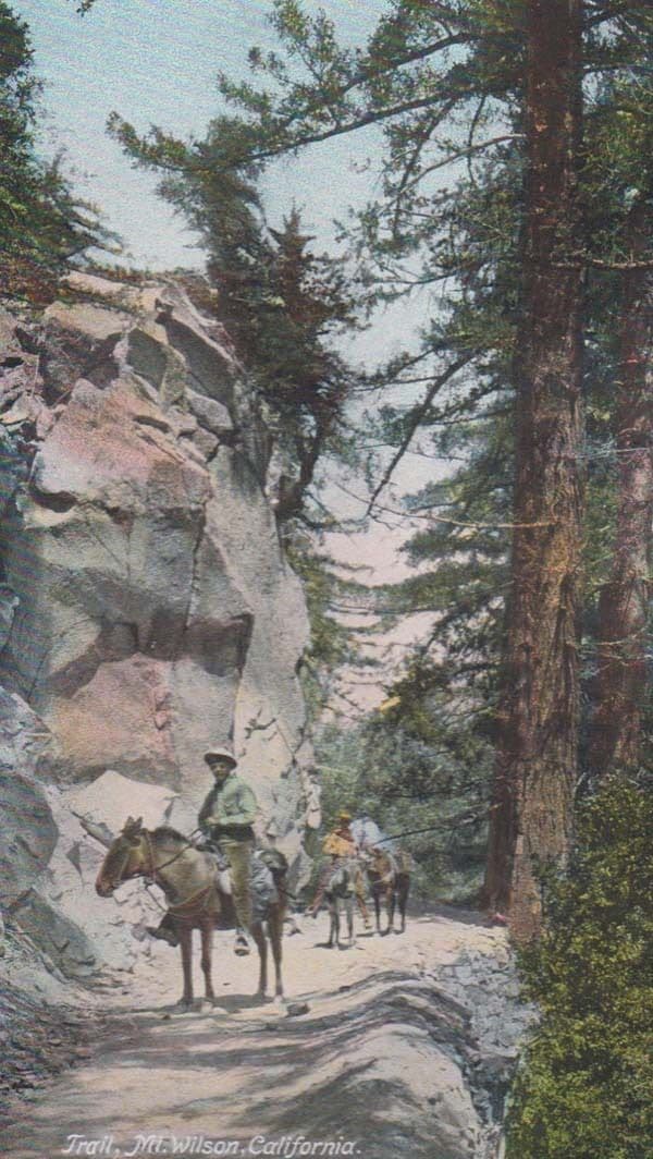 Wisconsin Withee Park USA Real Photo Postcard
