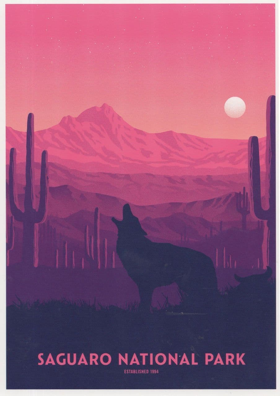 Wolf in Sunset Painting Saguaro National Park USA Postcard
