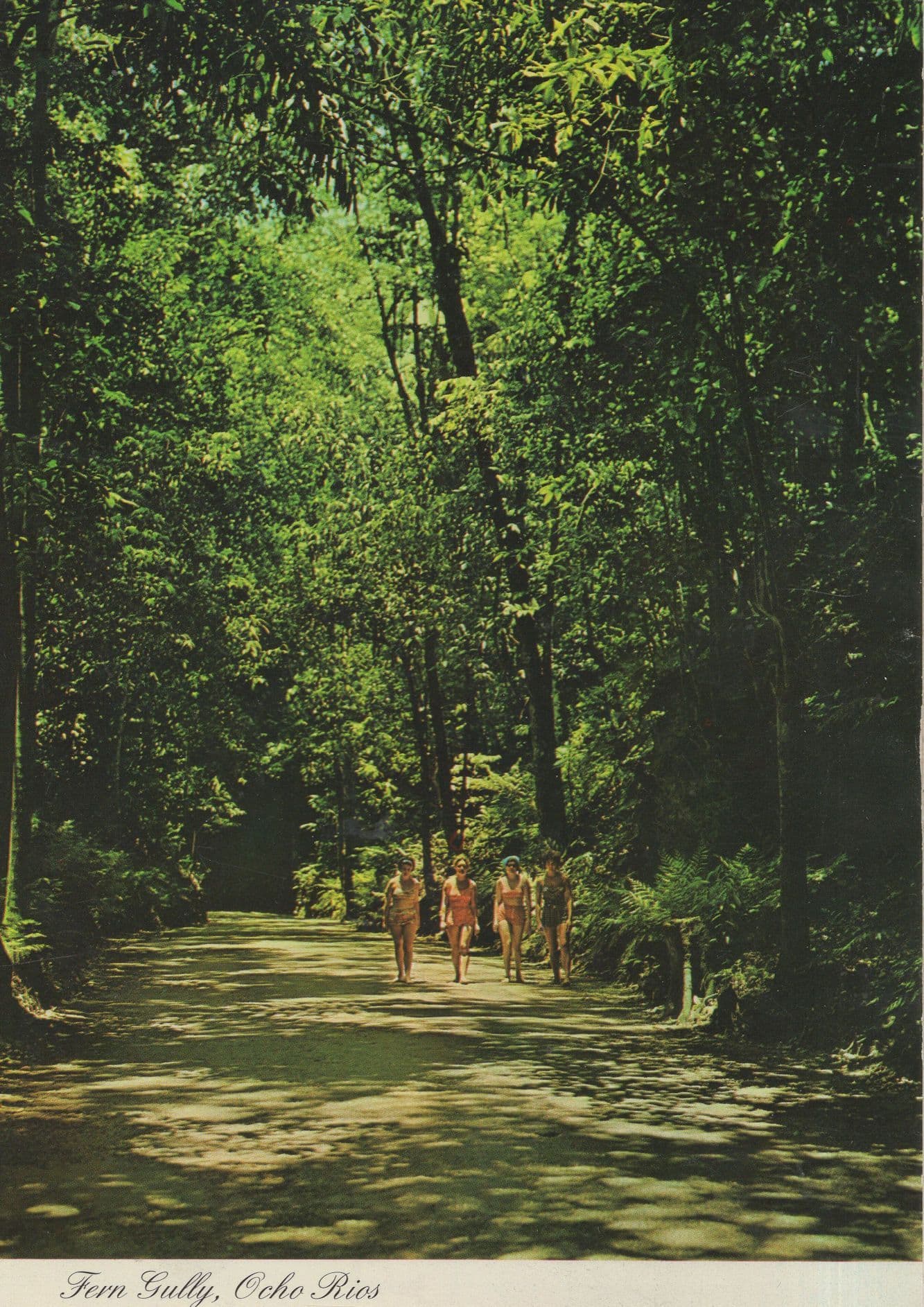 Women Rambling at Fern Gully Oche Rios Jamaica Postcard