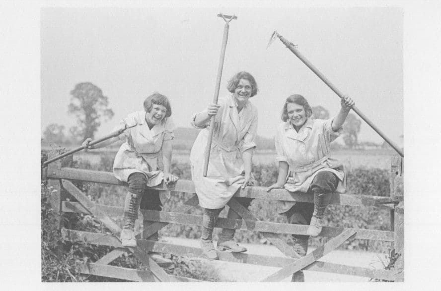 Womens Land Army Farm Military Farming WW1 Milking Cows Postcard