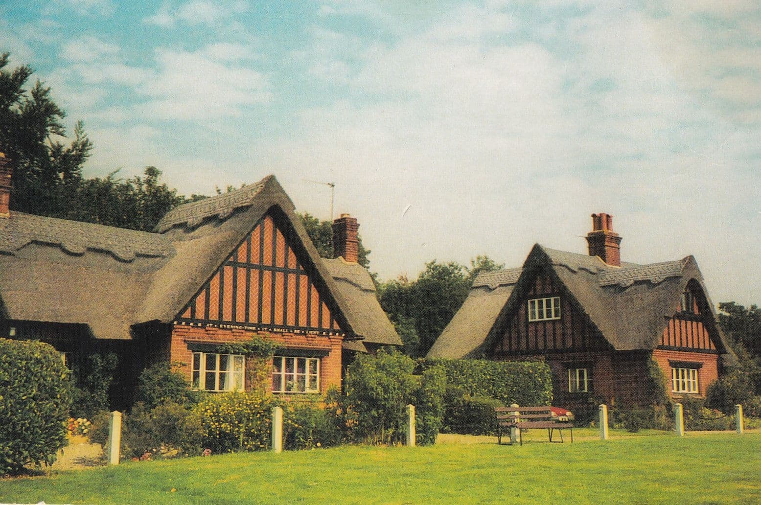 Woodbastwick Village Green Rare Norfolk Postcard
