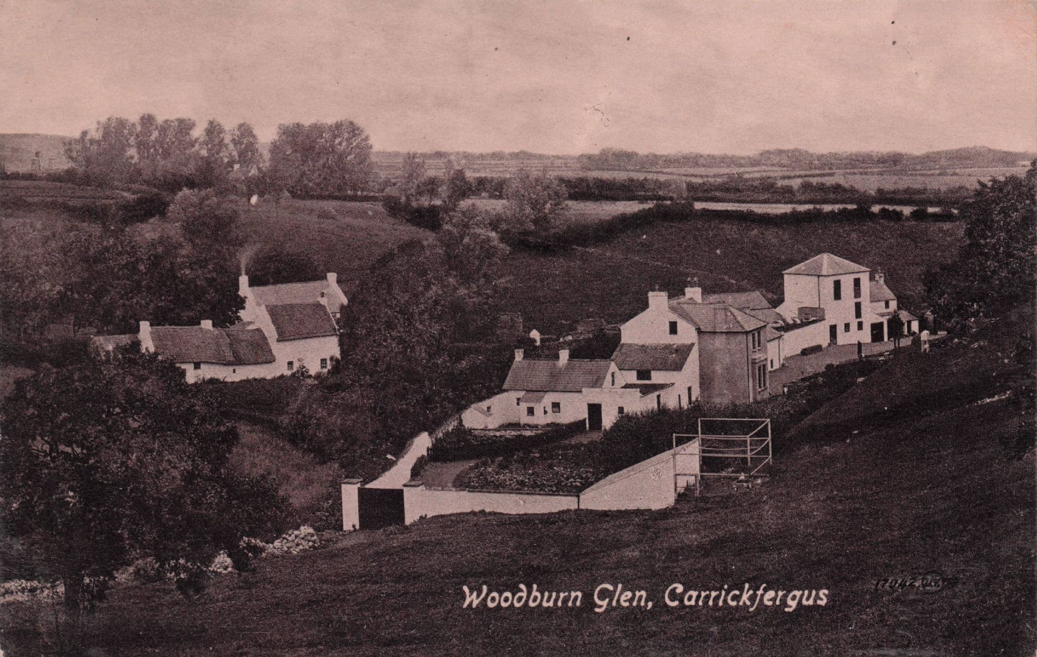 Woodburn Glen Carrickfergus Antrim Ireland Old Real Photo Postcard