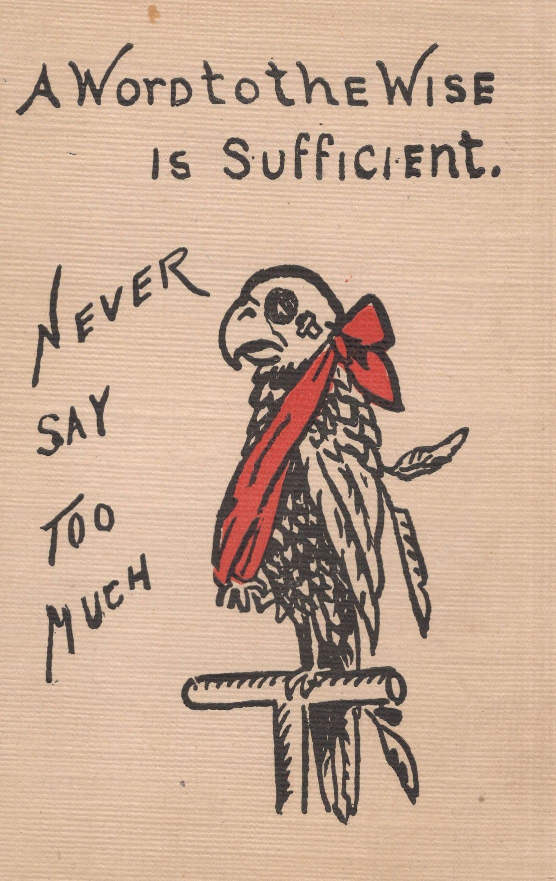 Wounded Pirate Parrot Antique Comic Talking Bird Old Postcard