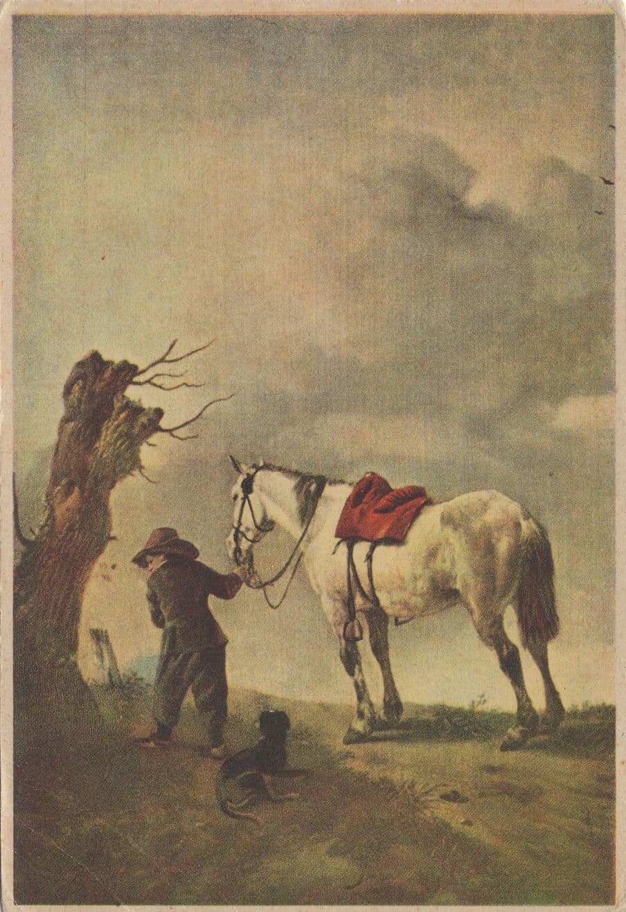 Wouwerman The White Horse Painting Postcard