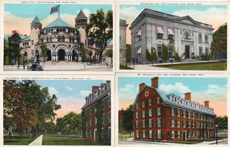 Yale University Campus New Haven Connecticut USA 4x Old  Postcard s