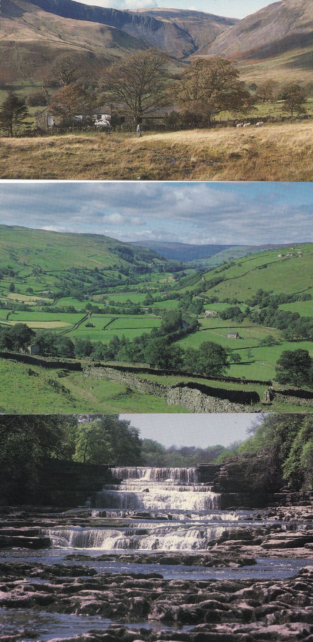 Yorkshire Dales Aysgarth Swaledale Howgill Falls National Park 3x Postcard s