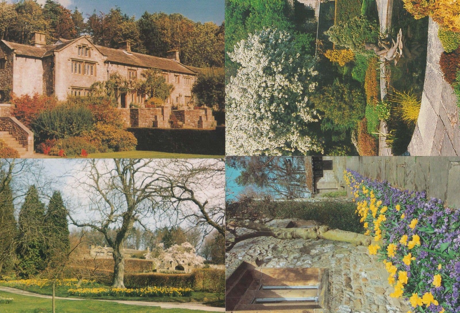 Yorkshire Parcevall Hall Gardens Waterfall Pond 4x Mint Postcard s