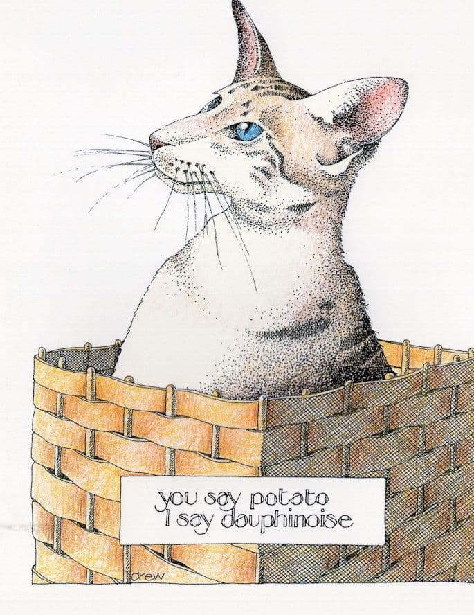 You Say Potato I Say Douphinoise Cat Comic Postcard