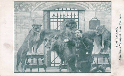 Youngest Ever Old Lion Tamer Trainer American Circus Postcard