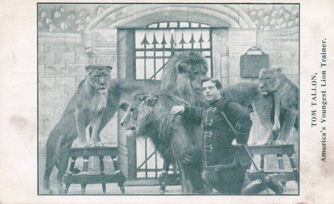 Youngest Ever Old Lion Tamer Trainer American Circus Postcard