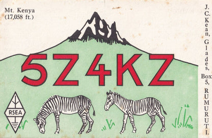 Zebra Mount Kenya Africa QSL Radio Card