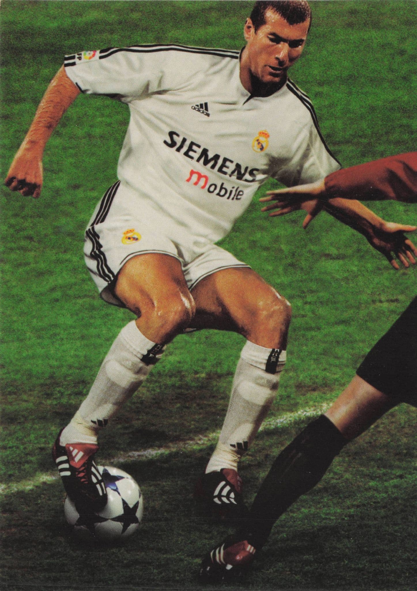 Zidane Real Madrid Spanish Football Club Adidas Postcard