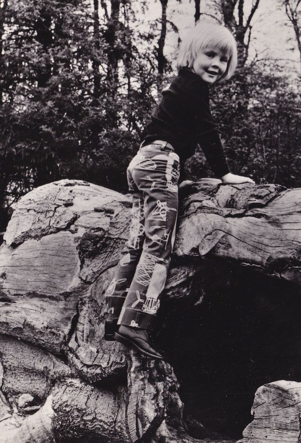 ZKH Prins Prince William Alexander Climbing Rocks Postcard