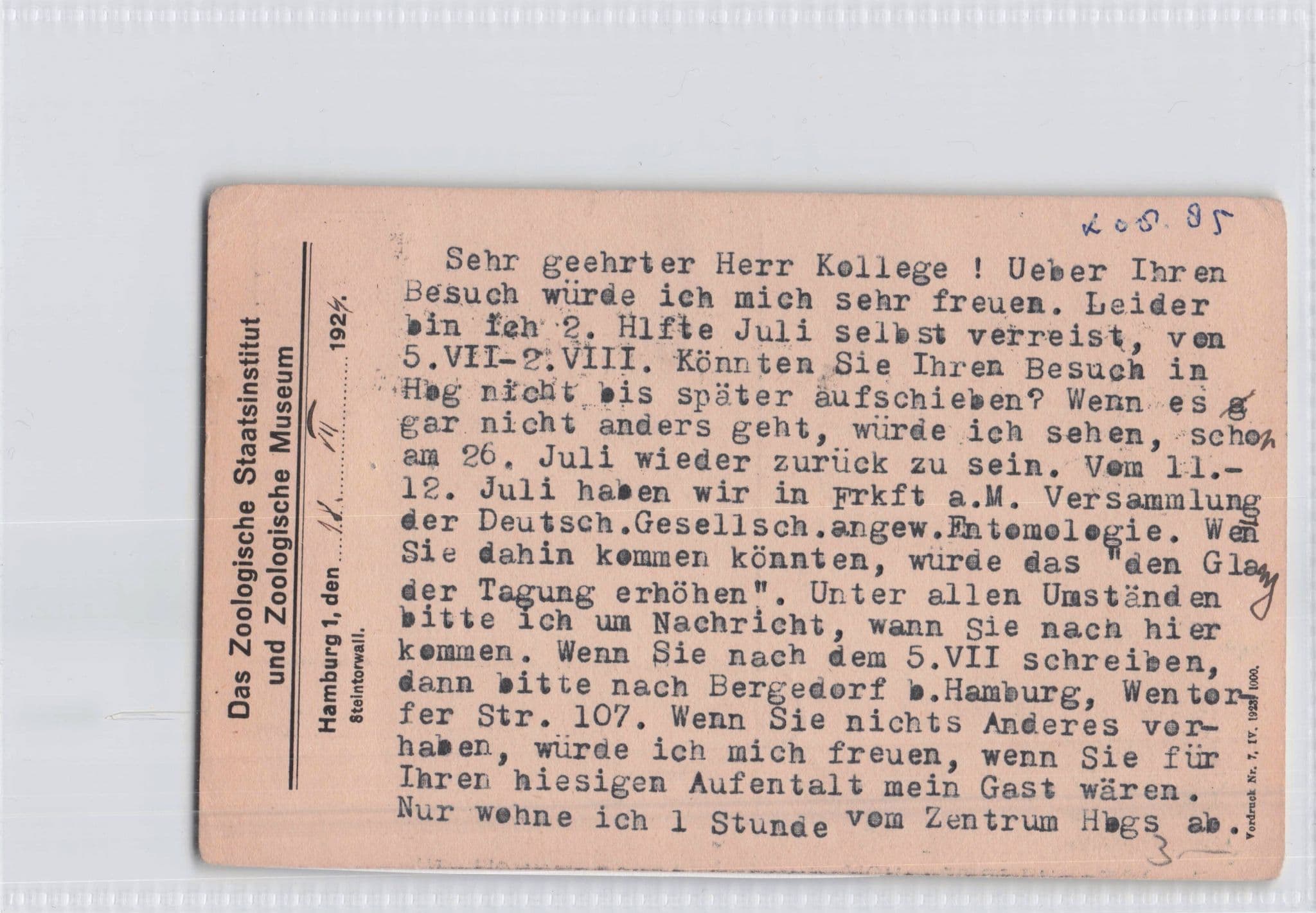 Zoology Museum Frankfurt Conference Professor 1924 German Postcard