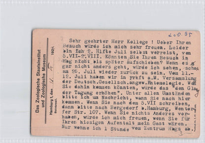 Zoology Museum Frankfurt Conference Professor 1924 German Postcard