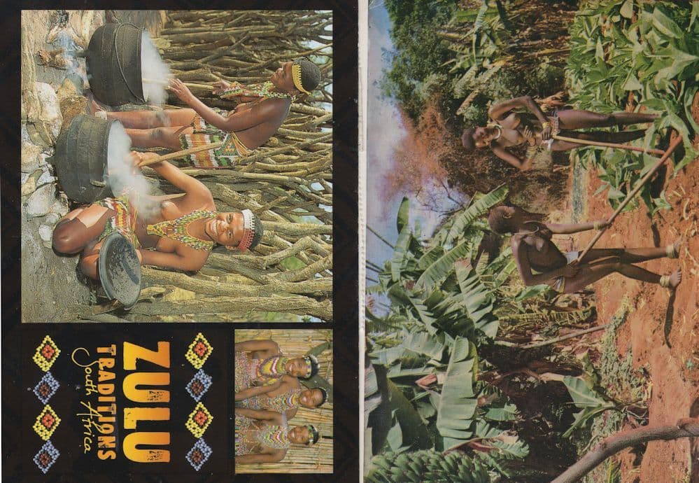 Zulu Traditions African Cooking Banana Field Girls Postcard s