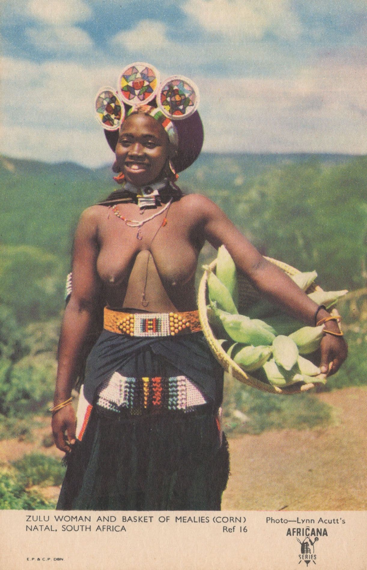 Zulu Woman & Basket Of Mealies Corn Natal Old Risque African Postcard